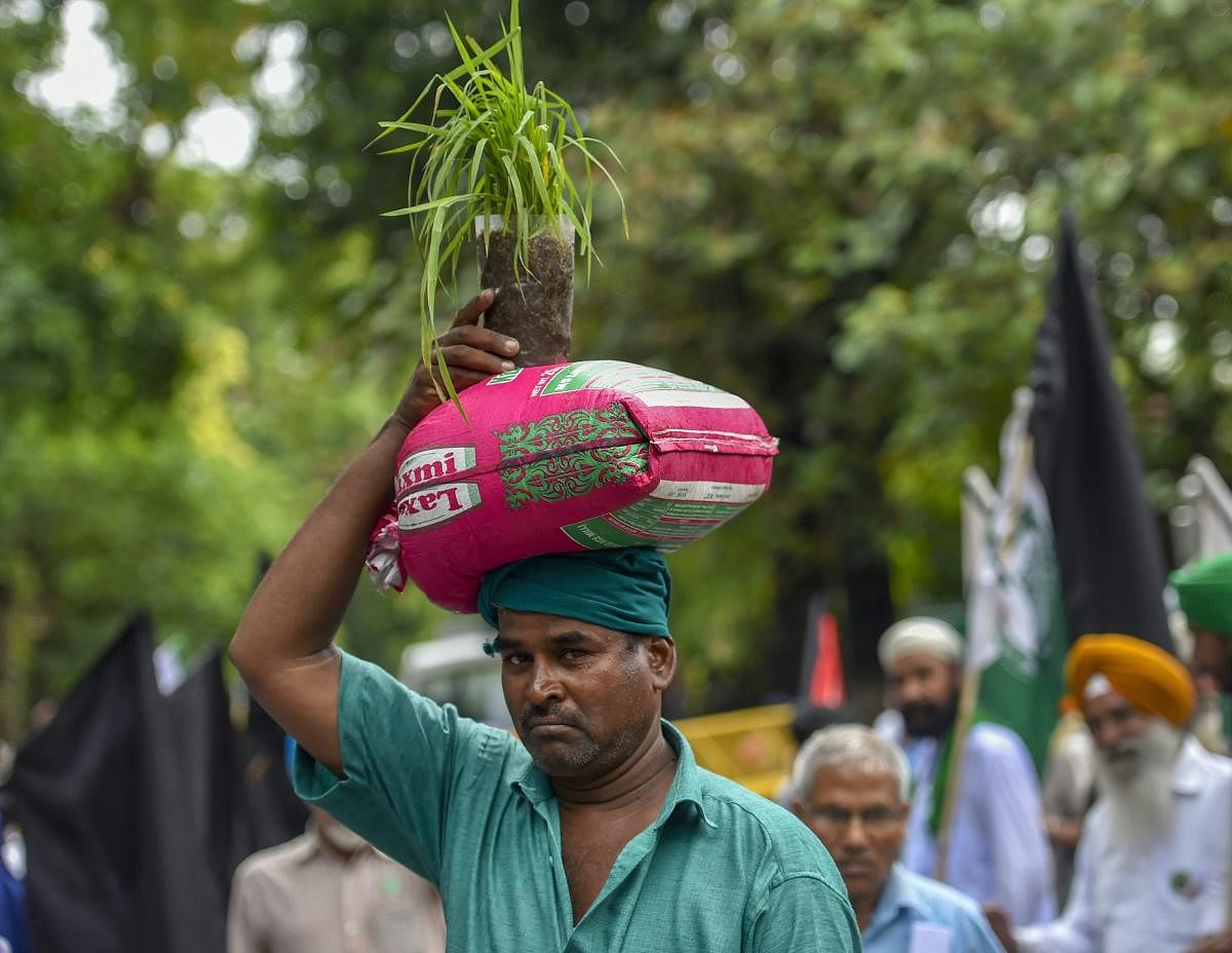 A farmer takes part in a protest against the NDA government over the hike in MSP (Minimum Support Price) of certain crops, in New Delhi, on Friday. PTI photo