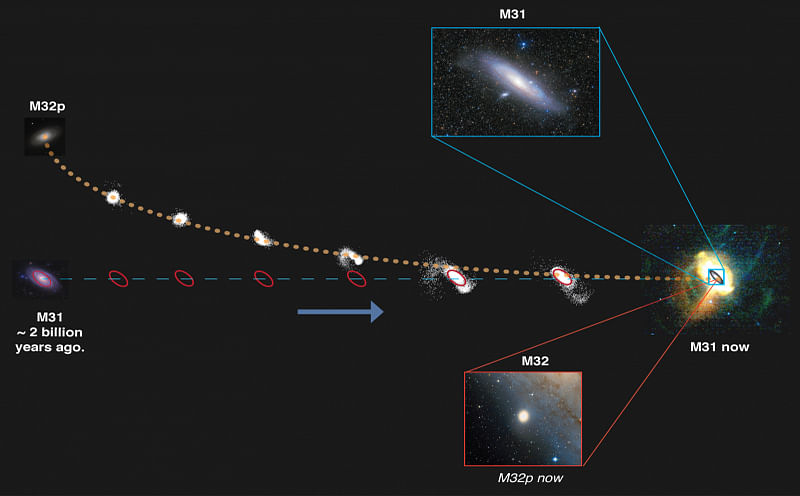 In this image, the Andromeda galaxy shreds the large galaxy M32p, which eventually resulted in M32 and a giant halo of stars. Credit: Richard D’Souza. Image of M31 courtesy of Wei-Hao Wang. Image of stellar halo of M31 courtesy of AAS/IOP.