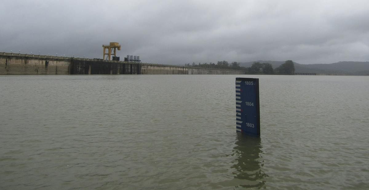 Water level in Linganamakki dam has crossed 1,800 feet for the first time in three years. Photo by V Santosh Kumar