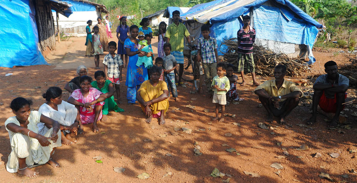 Koraga families reside in huts near Padubidri Suzlon colony at Abbedi in Nadsalu.