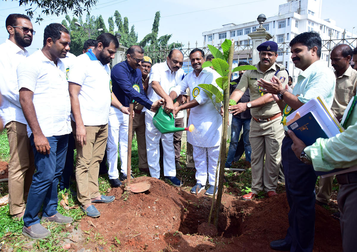 Urban Development and Housing Minister U T Khader plants a sapling at the premises of Town Hall in Mangaluru on Wednesday. MLC Harish Kumar, Deputy Conservator of Forests Dr V Karikalan and Pollution Control Board District Environment Officer Rajashekhar Puranik are present.