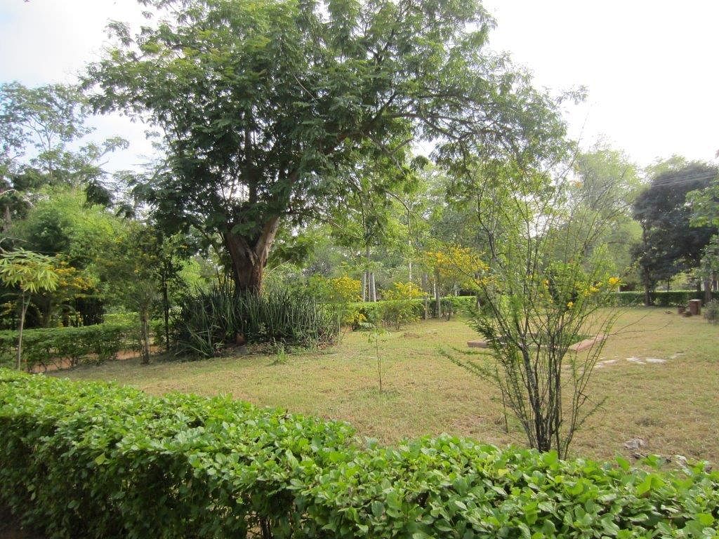 Rishi Valley houses a famous school and is known for its sylvan surroundings.