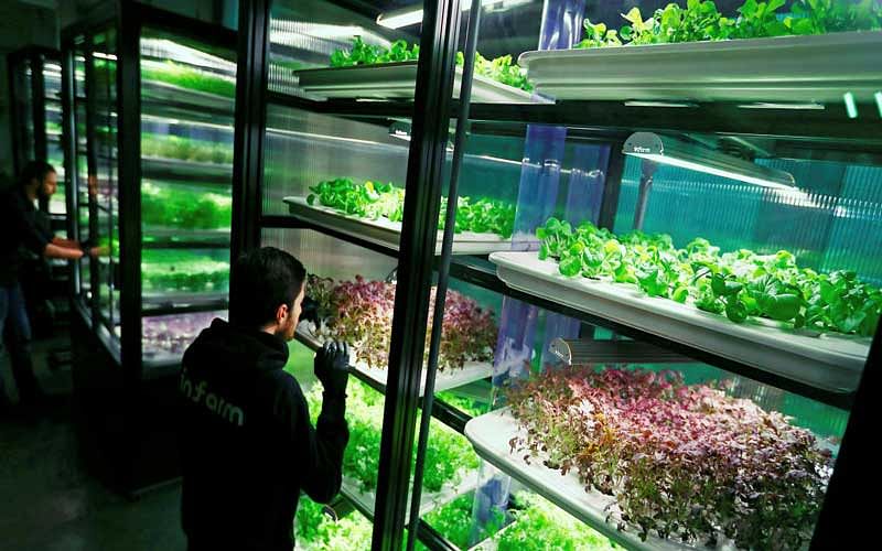 An employee of the urban farming start-up Infarm checks an indoor growing system at the company's showroom in Berlin, Germany. (Reuters File Photo)