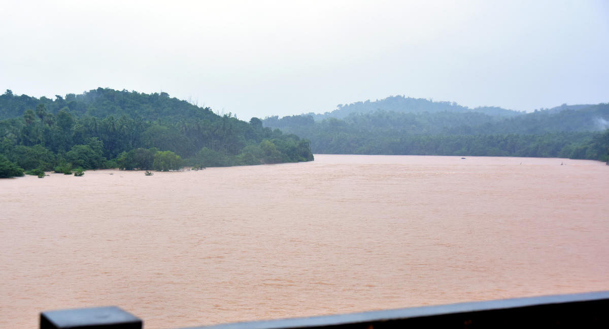 A view of River Kumaradhara in Uppinangadi on Friday. Photo/ Govindraj Javali