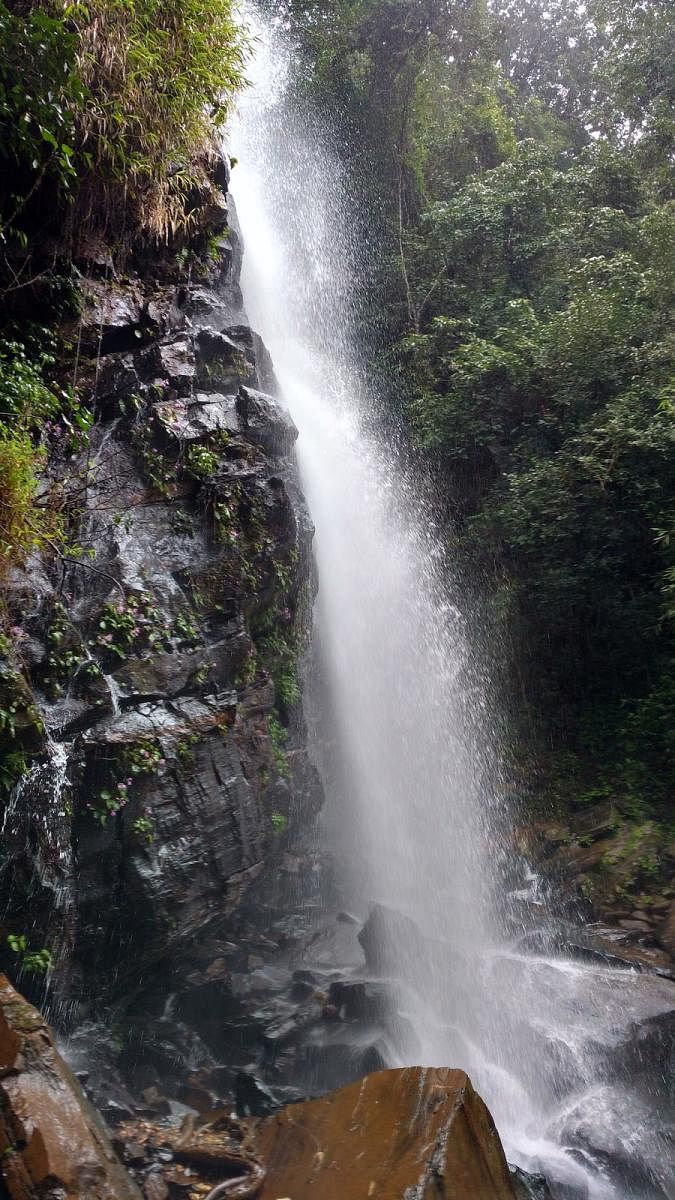 Elaneer Falls is about 297 km from Bengaluru