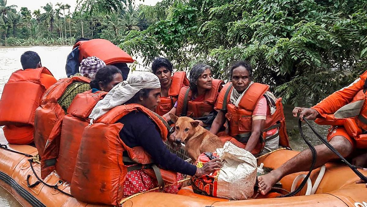 NDRF personnel rescue the flood-hit people in Wayanad, Kerala. PTI photo