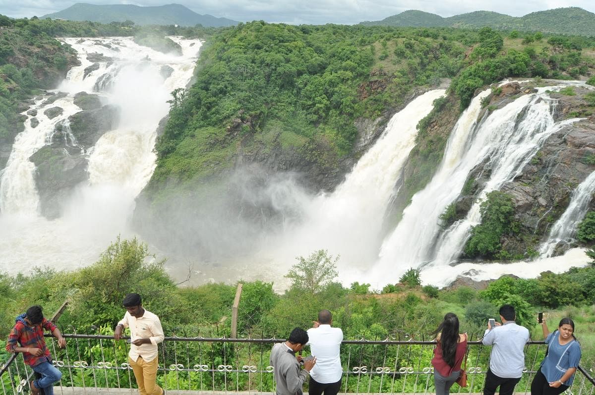 People at the Gaganachukki falls in Malavalli taluk of Mandya district. DH PHOTO