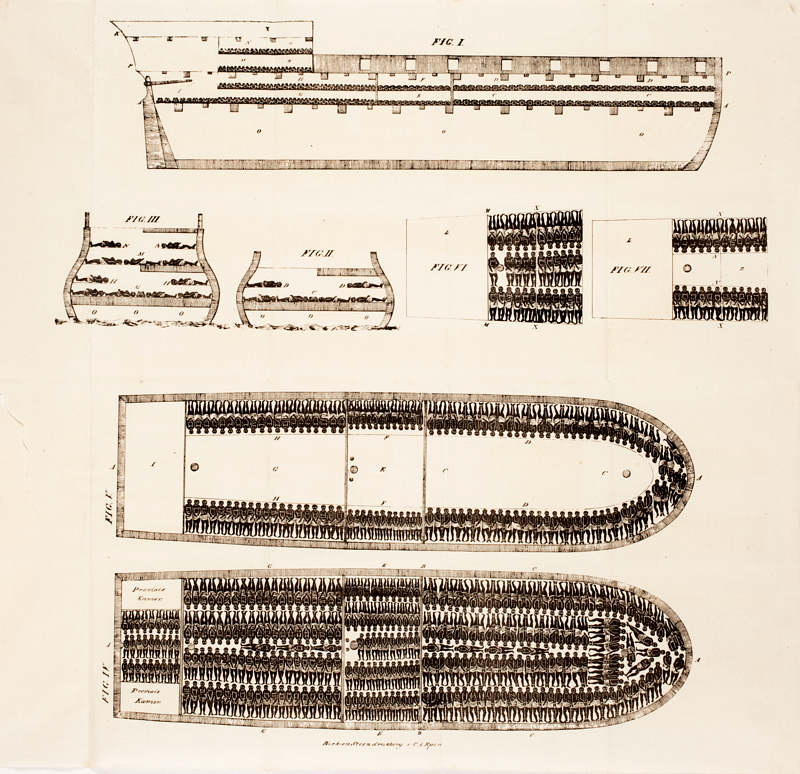 Diagram of a large slave ship. Thomas Clarkson: The cries of Africa to the inhabitants of Europe, 1822. Source: Wikipedia. 