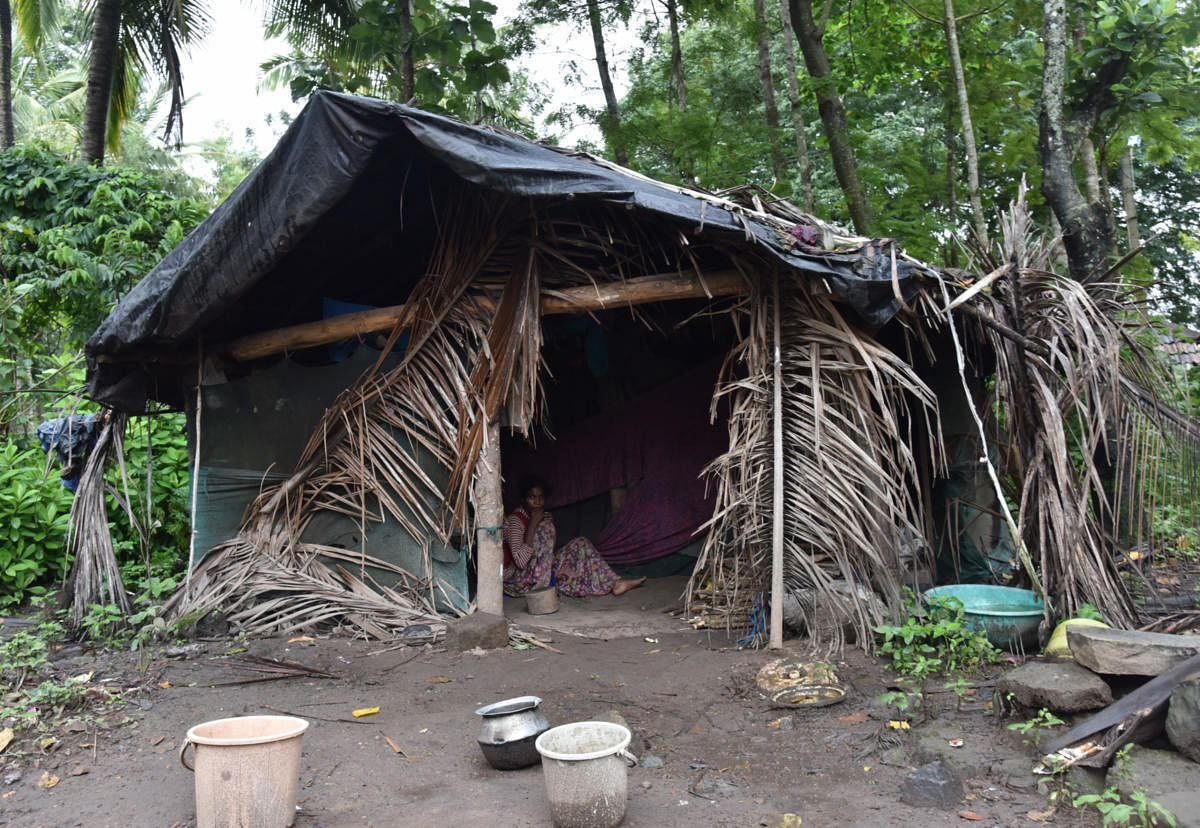 For thousands of tribals in Somwarpet and Madikeri taluks, the heavy rain poses an existential threat as they struggle to cope with damaged houses and waste oozing from broken toilets. dh Photo/B H Shivakumar