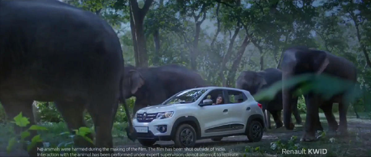 This ad imagines and portrays a rescue that is hazardous to try in real life, say wildlife experts.
