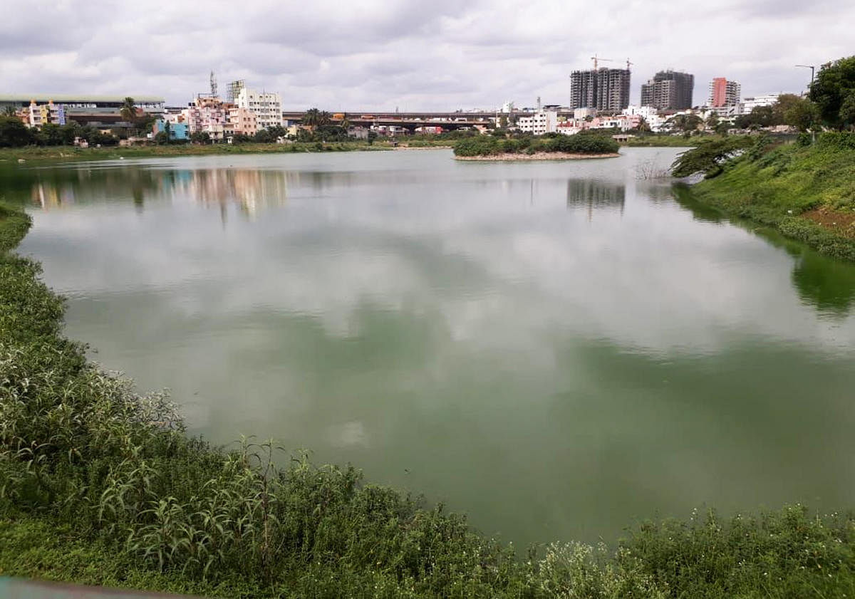 Discharge of sewage and dumping of garbage has turned Chokkasandra lake near Peenya, Bengaluru into a stinking mess.