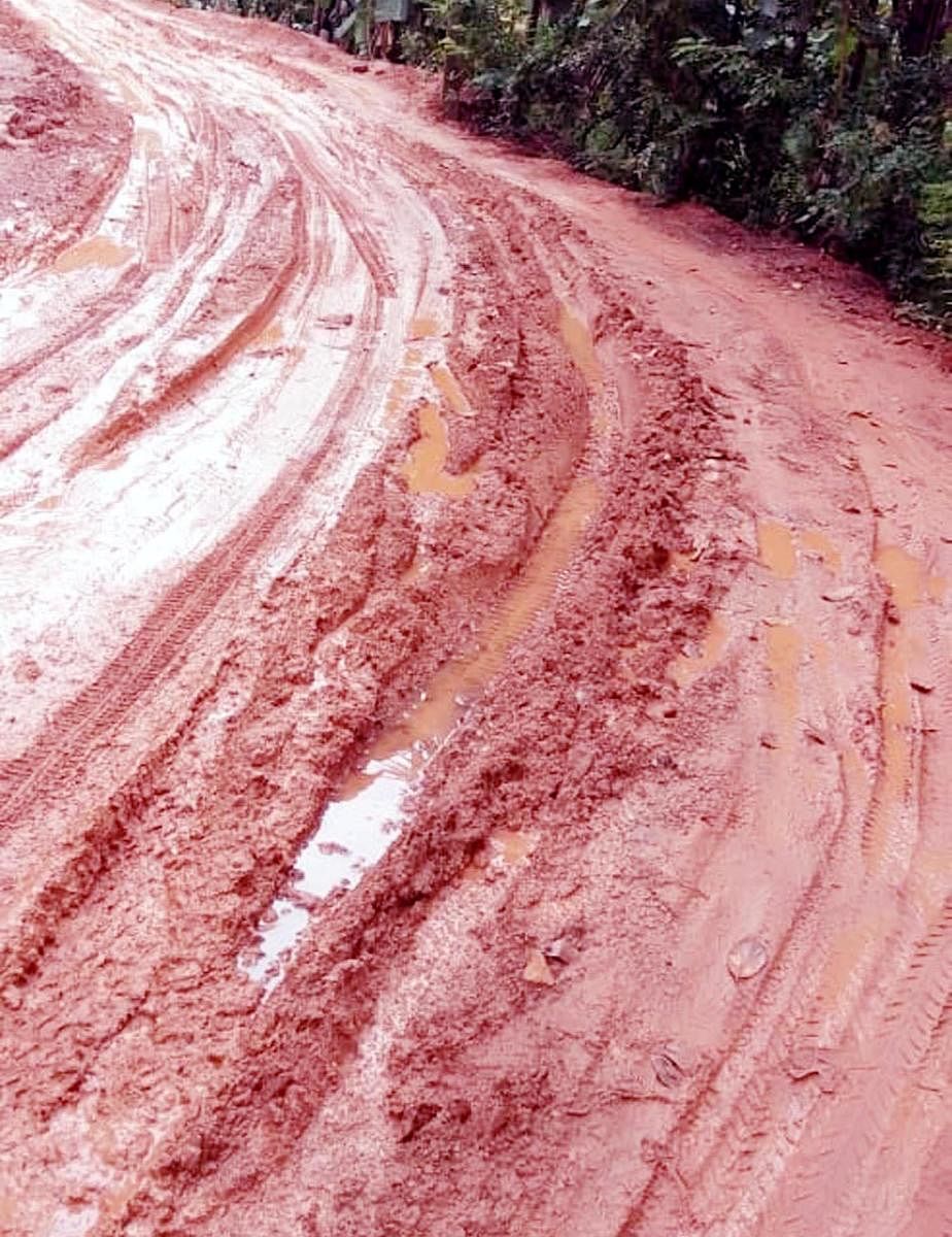 The slush-filled Malethadka-Barengayi-Gaurimoole-Gundyadka-Padavu Road.