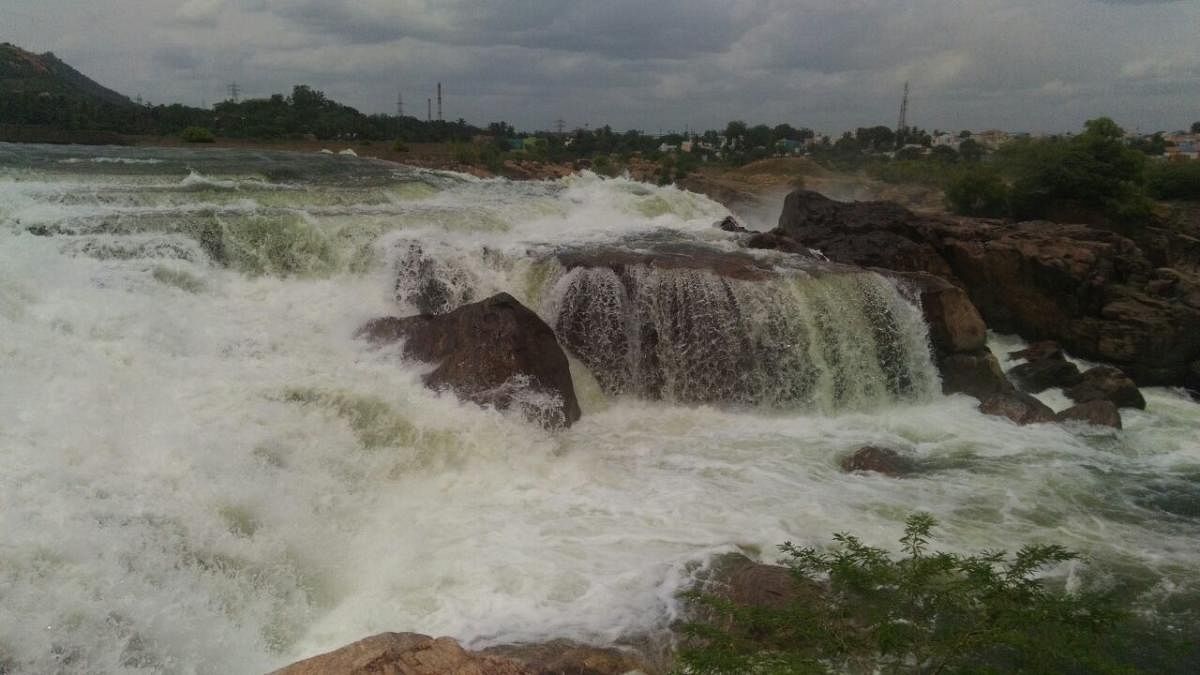 Water being released from the Stanley Reservoir at Mettur inSalem district of Tamil Nadu on Friday.