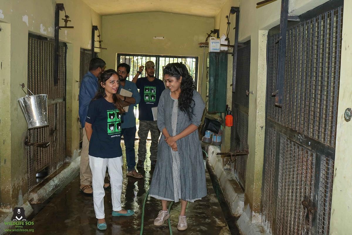 Samyukta visits sloth bear rescue centre