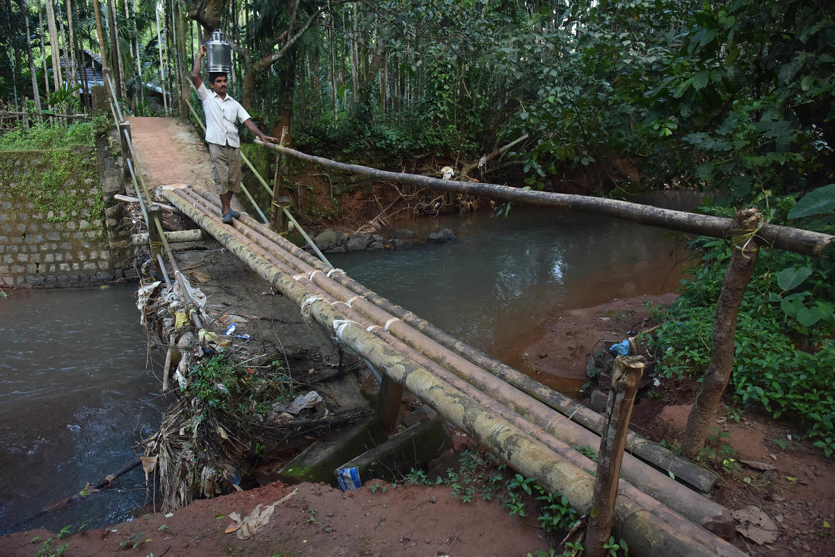Villagers of Nooji Halabe in Manchi grama at Bantwal using a temporary bridge made of bamboo. The old bridge was collapsed on Tuesday September 03, 2018 due to heavy rain. Photo/Janardhan BK