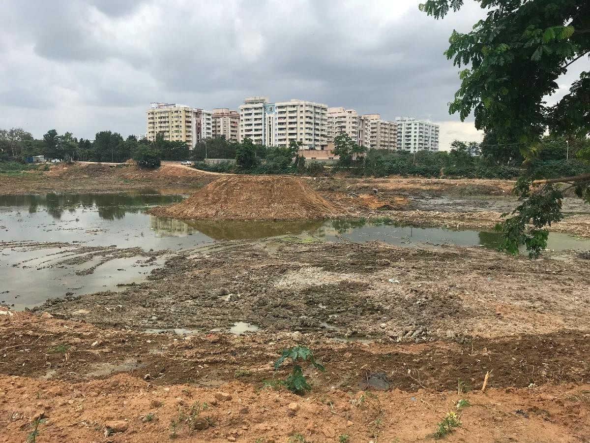 Iblur Lake was contaminated as sewage streamed into it because of the BBMP's faulty policies, according to a local activist.