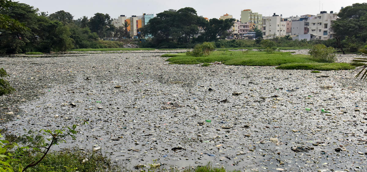 Located closer to one of Asia’s largest industrial parks–the Peenya Industrial Estate- the Shivapura-Nelagadarenahalli lake is going the Bellandur way. DH file photo