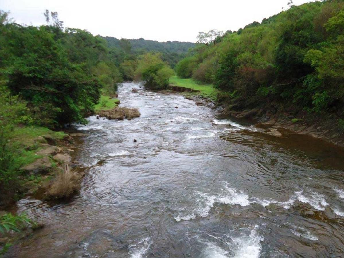 A view of the Mahadayi river.