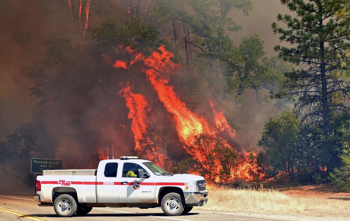Flames engulf trees near a road during the Carr fire in Redding, California on July 27, 2018. Two firefighters have died and more than 100 homes have burned as wind-whipped flames tore through the region. AFP