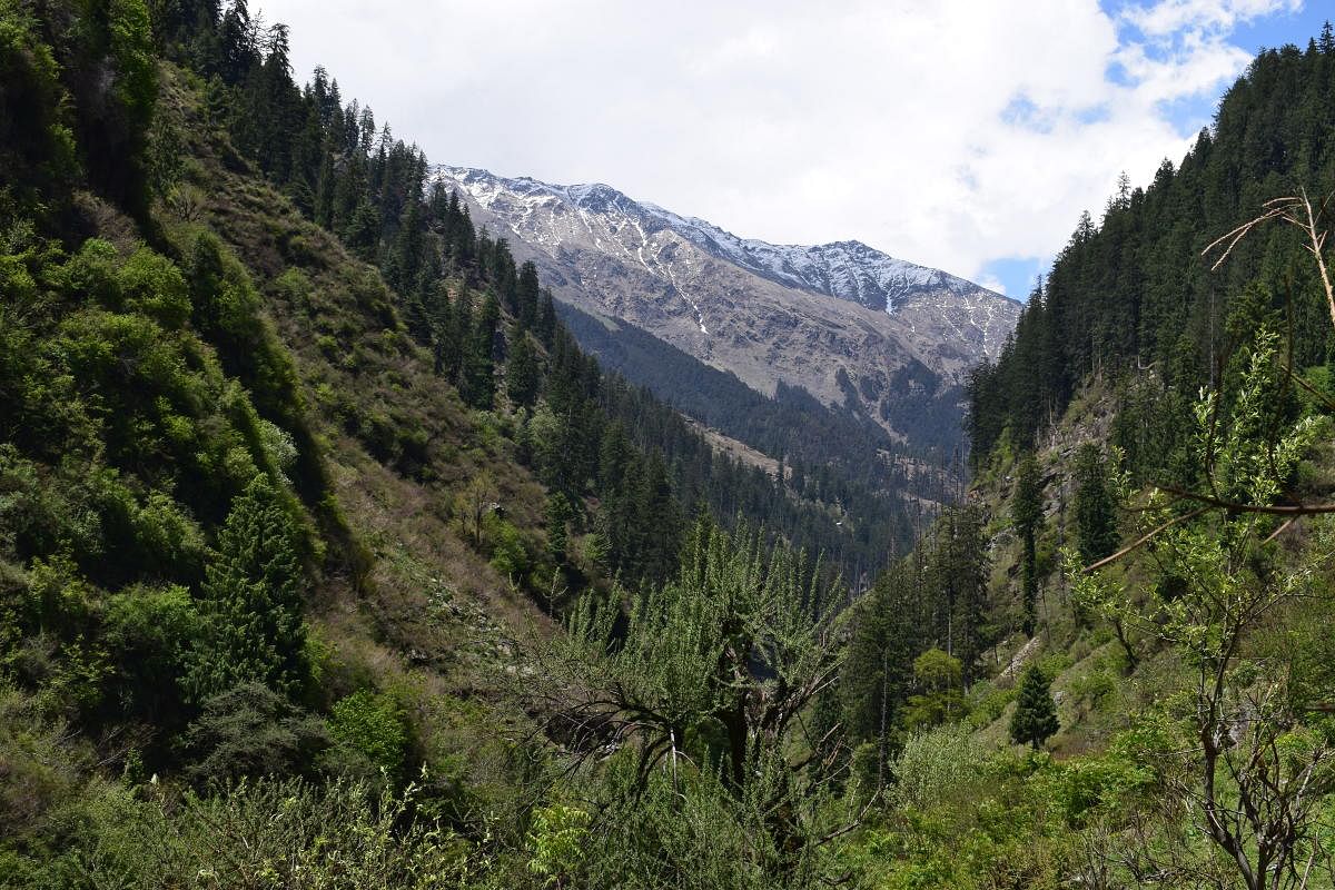 Kasol, Himachal Pradesh