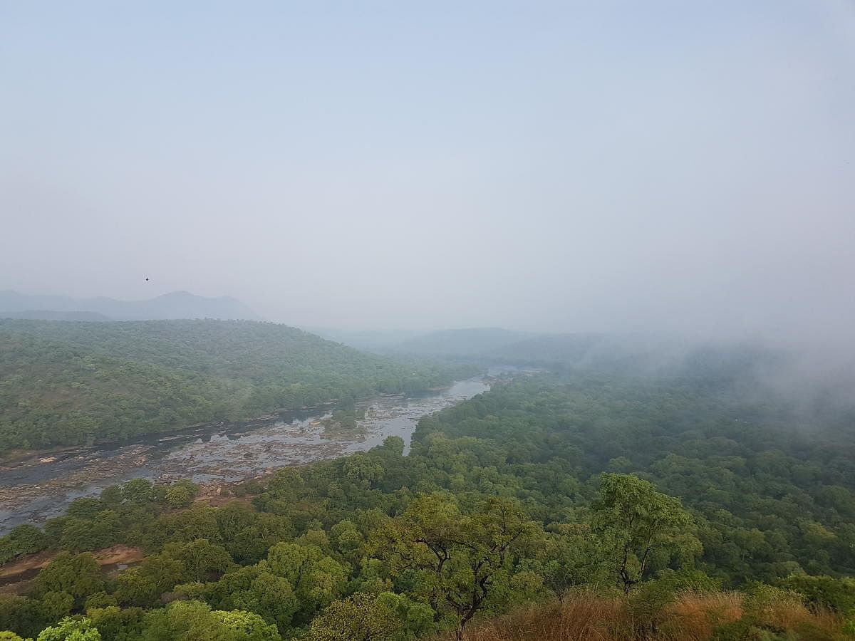 River Cauvery in Bheemeshwari