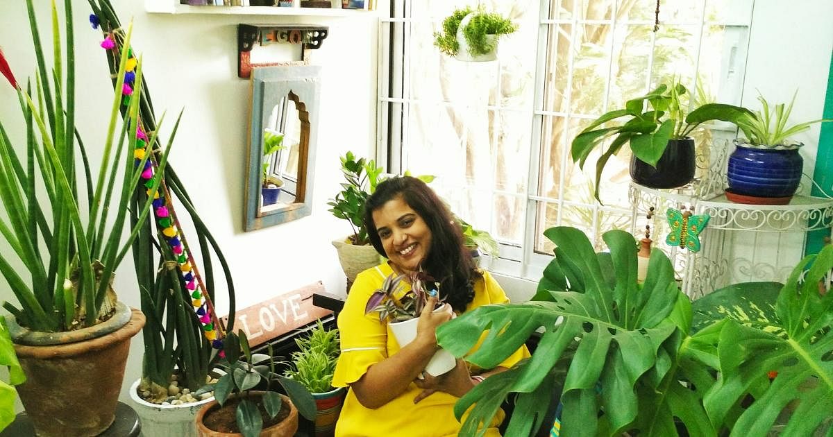 Anne Rakesh encourages others to start indoors gardens.