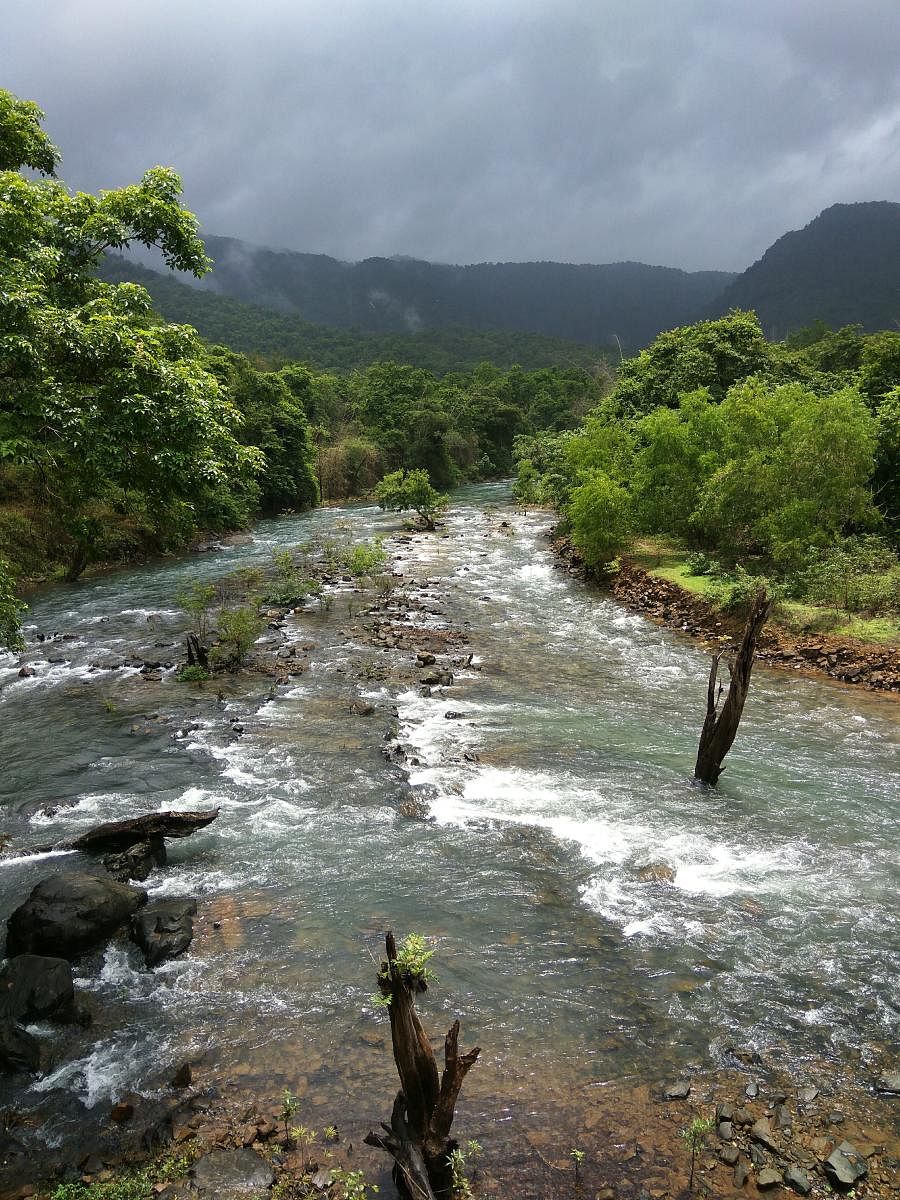 Sight to behold: River Kali. Photo by Vignesh Kamath