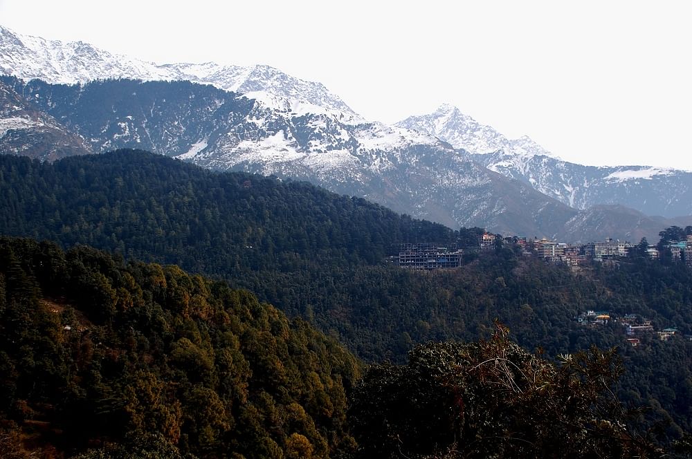 McLeod Ganj, also known as Upper Dharamshala, is a suburb of Dharamshala, seven kilometres up the mountain. Photo by author