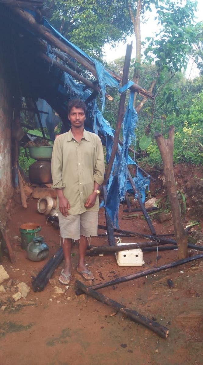 The elephants damaged a portion of a house belonging to Suresh at Kogile in Mudigere taluk.