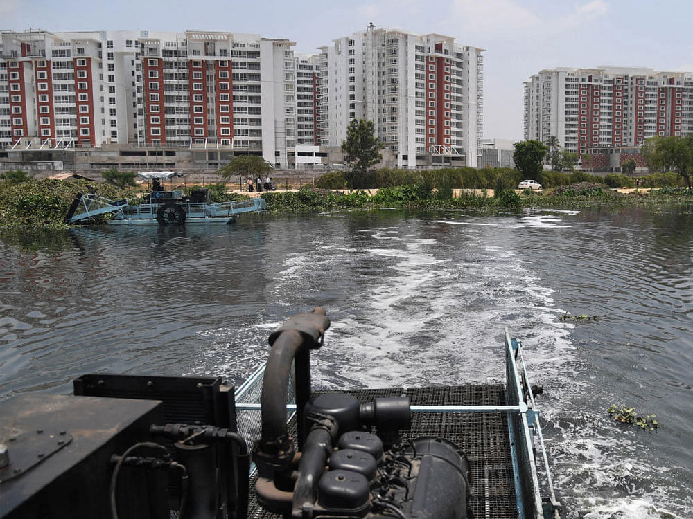 The stormwater drain into which the raw sewage was discharged leads into Bellandur Lake, which is already polluted. (DH File Photo)