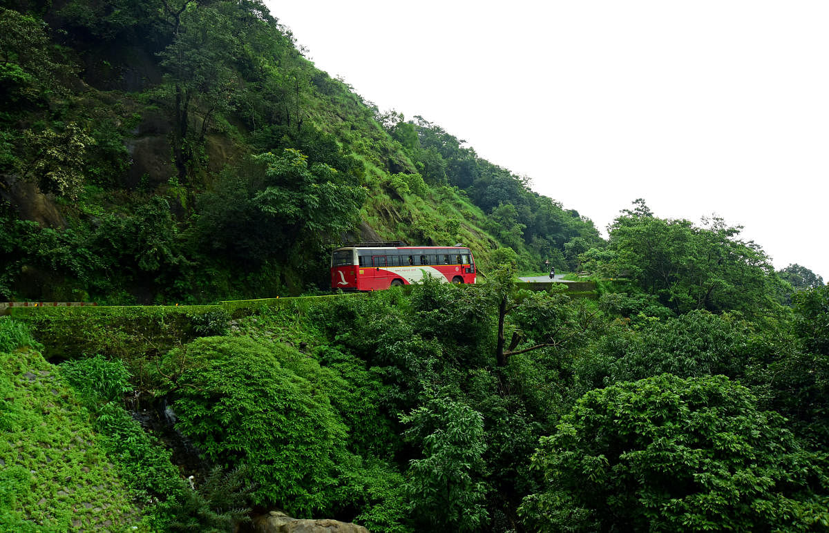 PICTURESQUE: A view of Charmadi Ghats in the Western Ghats range in Karnataka. DH file photo.