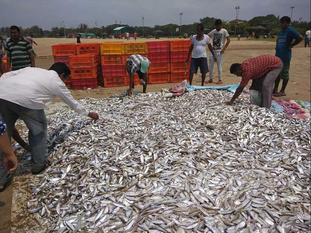 Committee president Manohar Boloor told reporters at Patrika Bhavan on Thursday that the fishermen were finding it difficult to eke out a livelihood due to the effects of the increase in diesel prices. (DH File Photo)