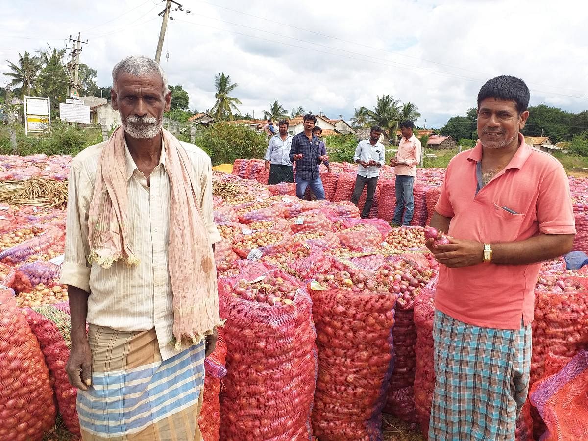 Farmers with onion produce.