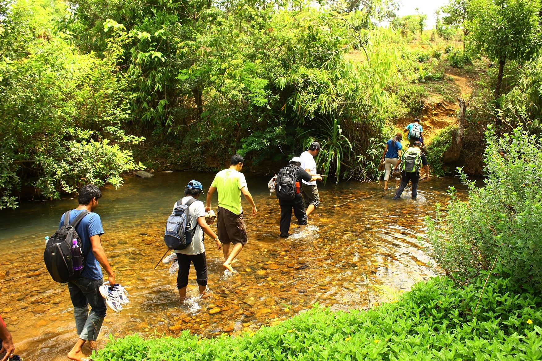 A group of youth on a trek conducted by Bhoomi’s Sharavathi Rainforest Education Centre