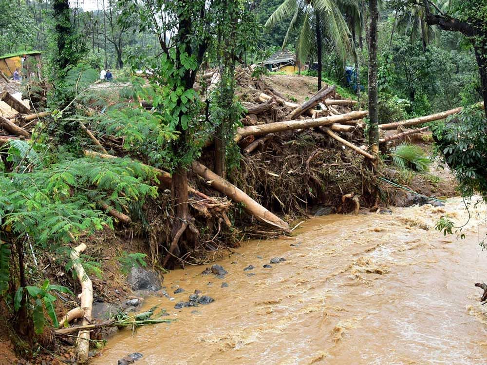 Pointing at the colour of the water, which is muddy, environmentalists say this was evidence to the soil erosion in the catchment areas in Kodagu district. They said the rain havoc in Kodagu was similar to the one in neighbouring Kerala and was a result of rampant deforestation, especially over the past one decade. DH photo