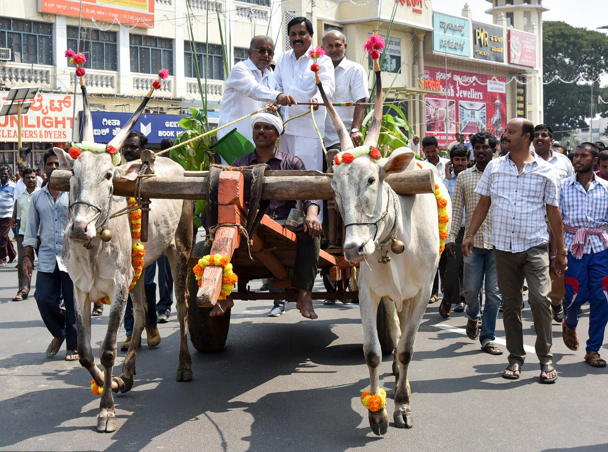Ministers G T Devegowda, Sa Ra Mahesh, Shivashankar Reddy along with others took a bullock cart ride at the Raitha Dasara rally, as part of Dasara Celebration, at KR Circle in Mysuru on Friday.