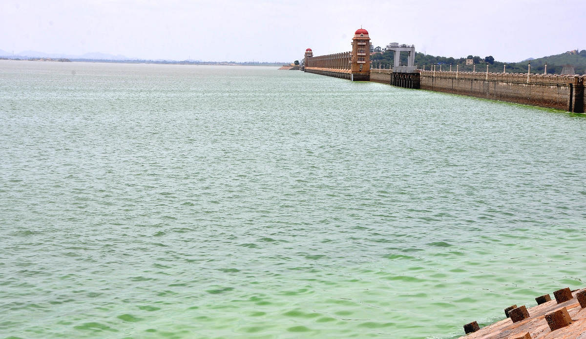 Tungabhadra reservoir, near Hosapete in Ballari district, received 5 tmcft water in last 24 hours ending 8 am on Saturday. The water level in the dam is now 1,597.19 feet while the maximum level is 1,633 feet. DH Photo