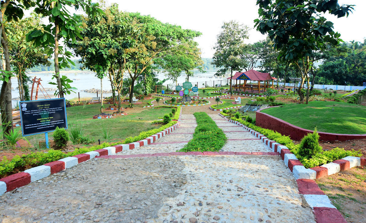 A view of the Tree Park on the banks of river Nethravathi in Bantwal.