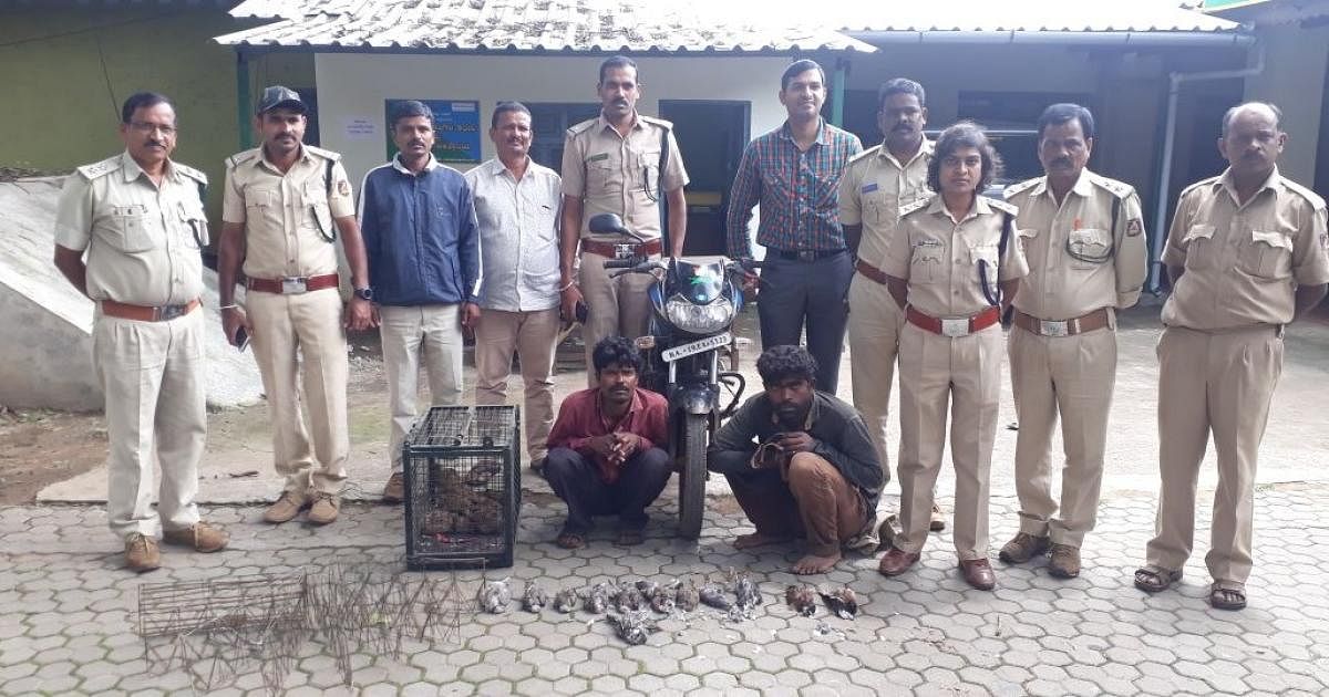 The forest officials arrested two persons in Chikkamagaluru for poaching birds.