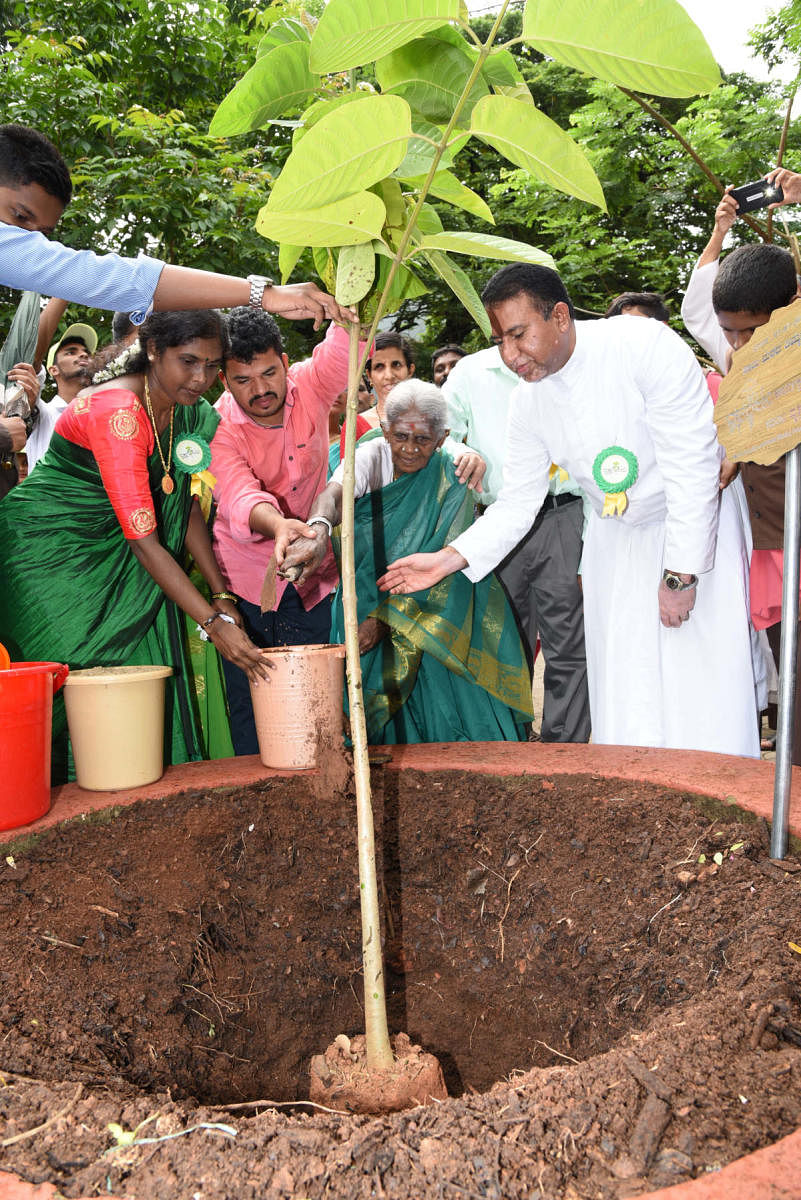 Environmentalist Salumarada Thimmakka plants a sapling on the St Aloysius College premises in Mangaluru on Tuesday. DH PHOTO