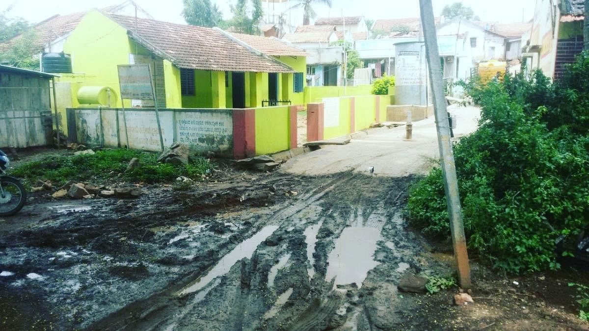 The road leading to the school at Kalmarudeshwara layout in Sakharayapattana.