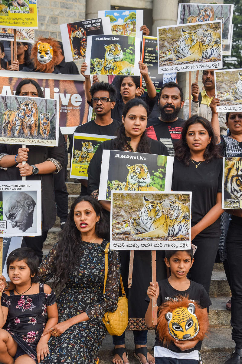 People protest at Town Hall on Sunday for saving the tigress, Avni. DH PHOTO/S K DINESH