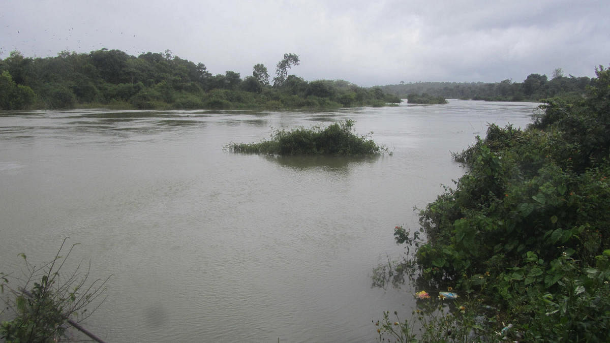 River Cauvery is in full flow in Kottamudi.