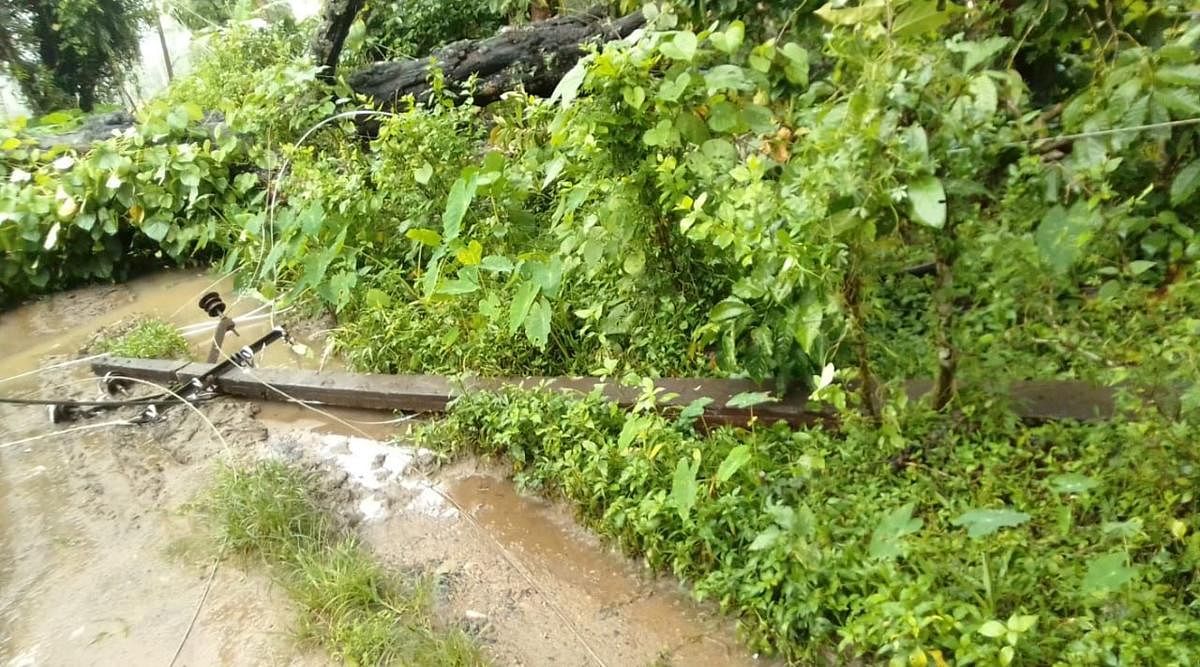 An electricity pole uprooted by strong winds in Mattikatte village in Mudigere taluk.