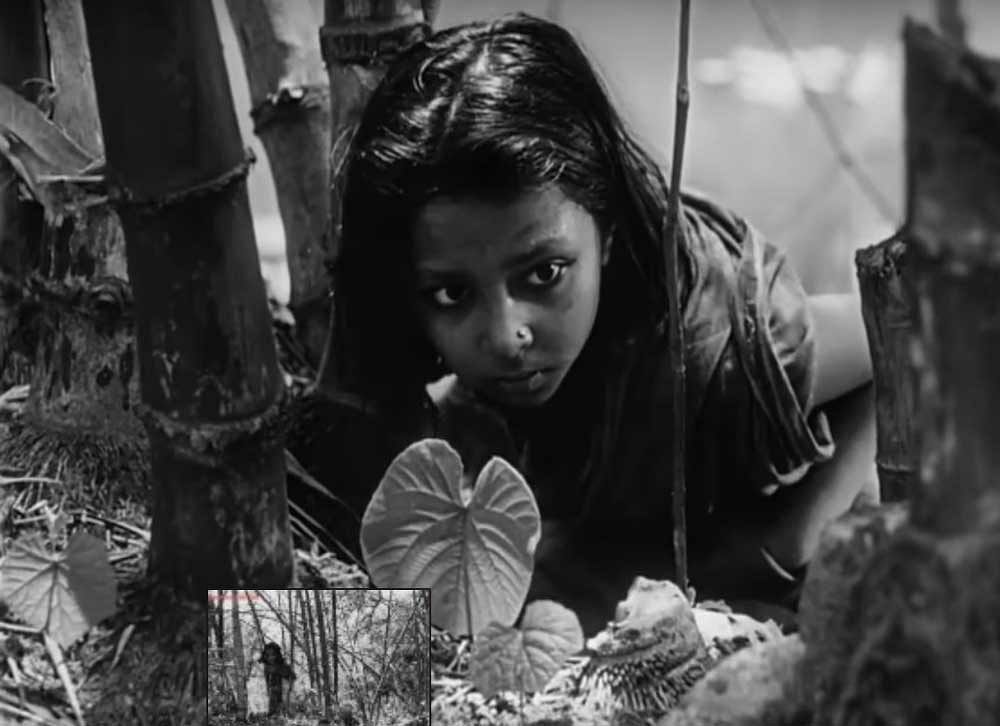 A scene from "Pather Panchali" ( Screen grab)