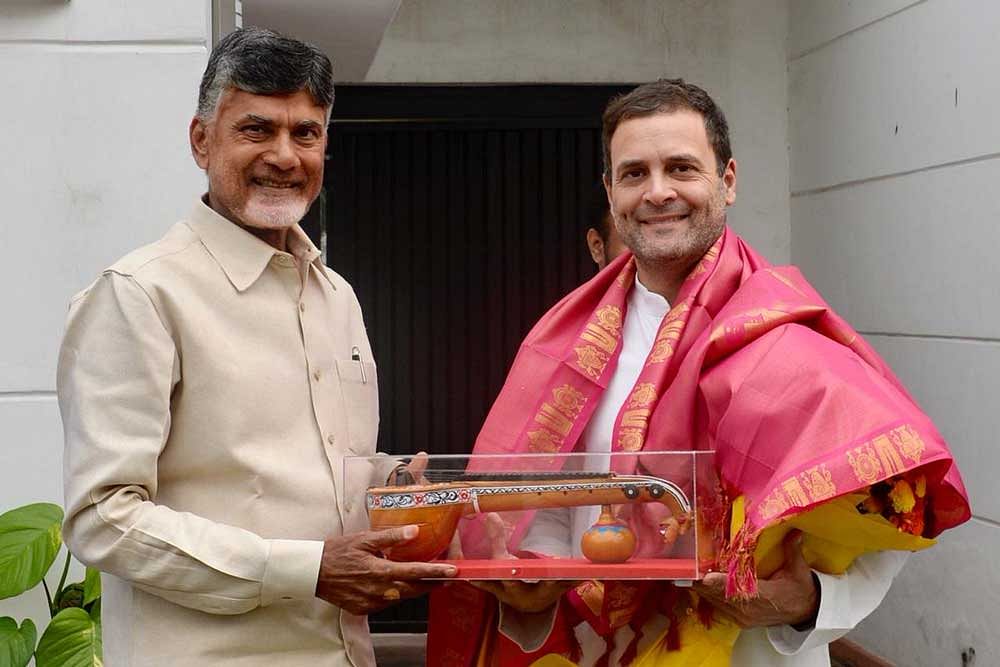Andhra Pradesh Chief Minister N Chandrababu Naidu and Congress president Rahul Gandhi. DH Photo