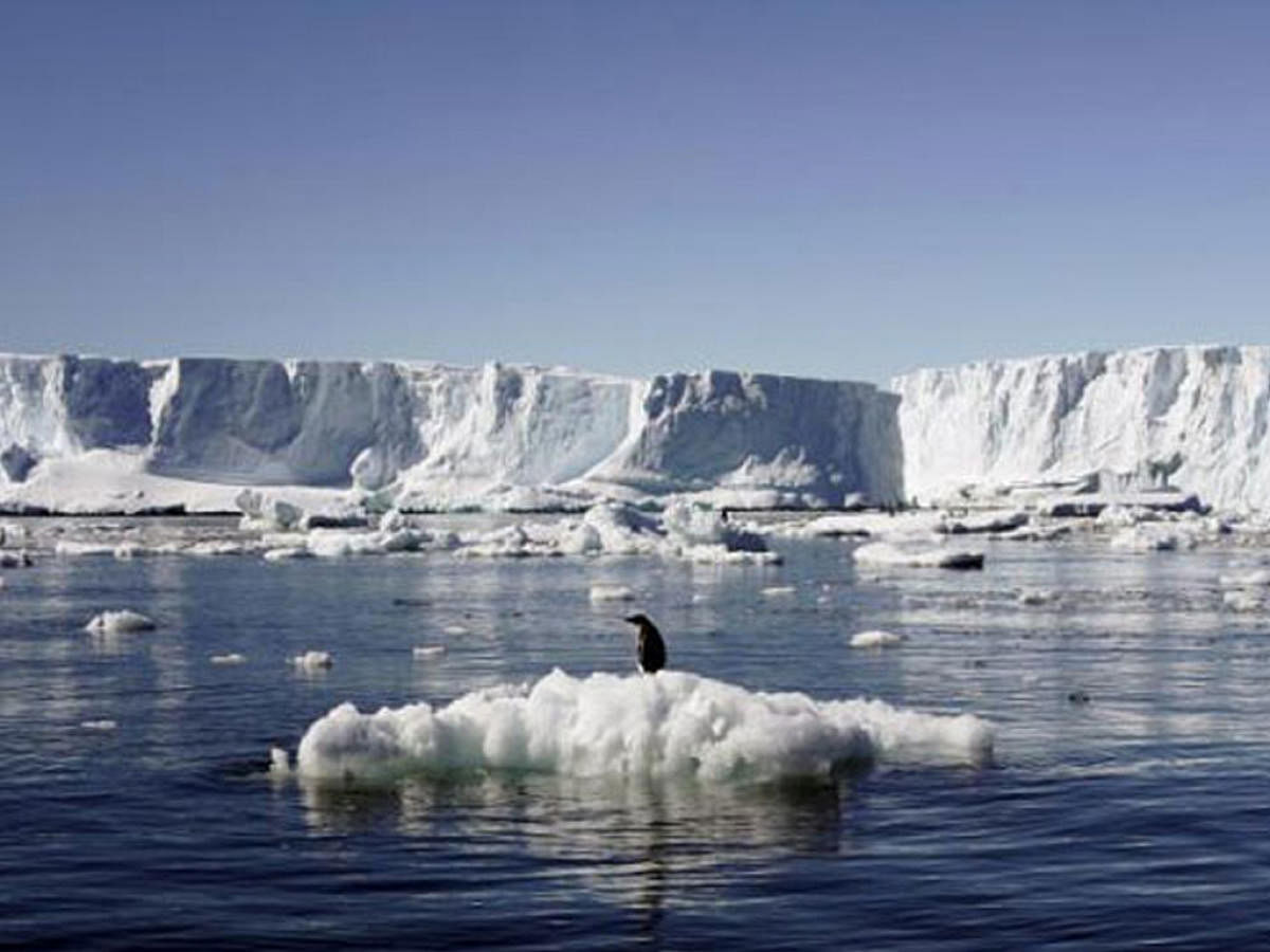 The proposed sanctuary, some five times the size of Germany, would ban fishing in a vast area in the Weddell sea, protecting key species including seals, penguins and whales.