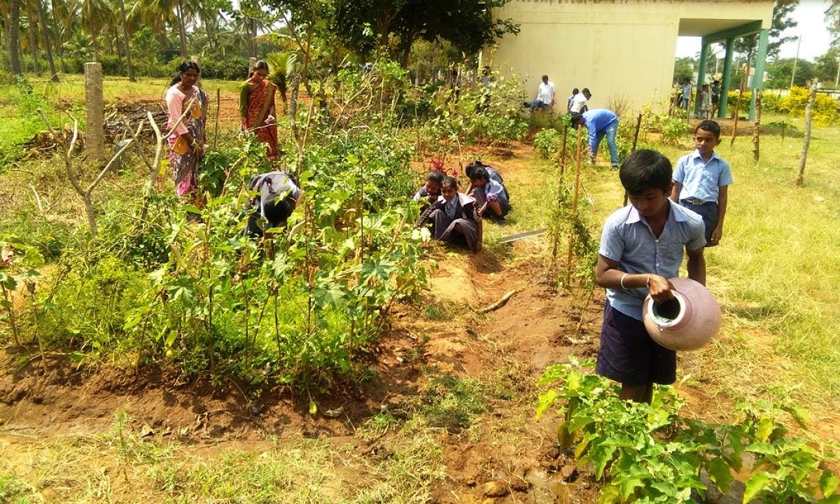 Schoolchildren watering plants at Garagadahalli Government higher primary school.