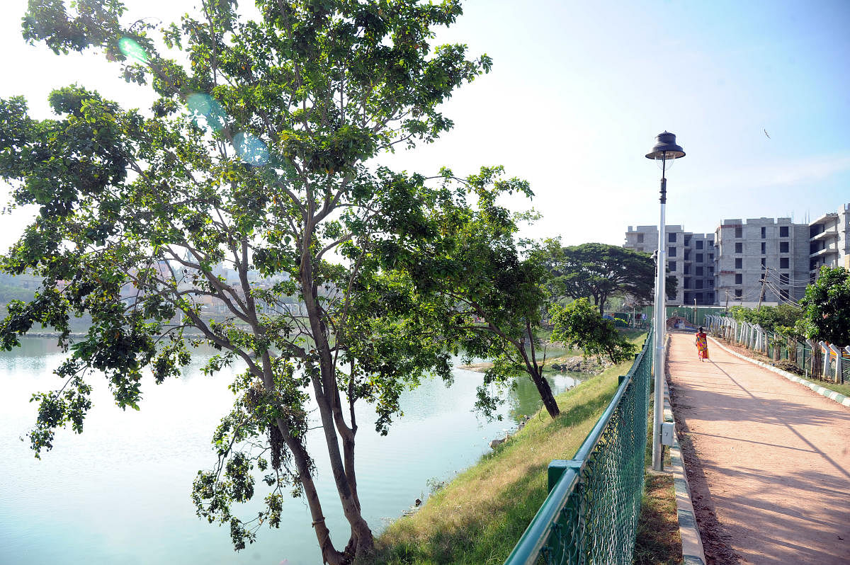 A portion of the under-construction building (right top) that is coming up on the encroached kaaludari (footpath) within the buffer zone of Yalachenahalli lake. DH Photo/Srikanta Sharma R