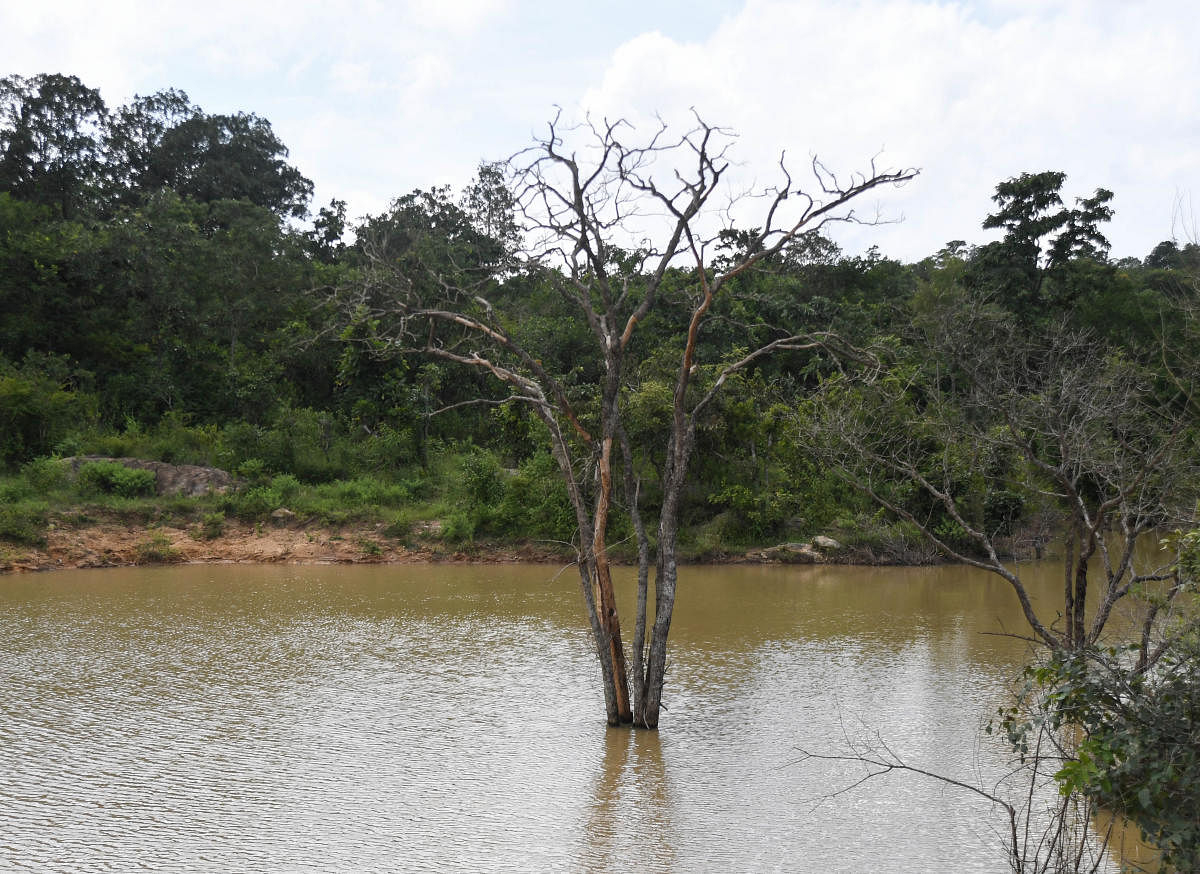 For years, environmentalists were asking the government to finalise an ESZ for Bannerghatta in order to stop illegal mining and quarrying, outside the park even though government officials and mining companies denied any illegality in their operations. DH